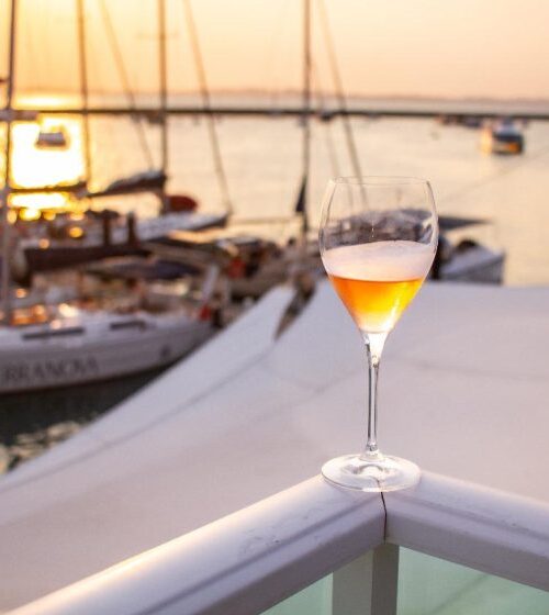 Festival Vinho na Vila chega pela primeira vez ao Recife com rótulos nacionais premiados
