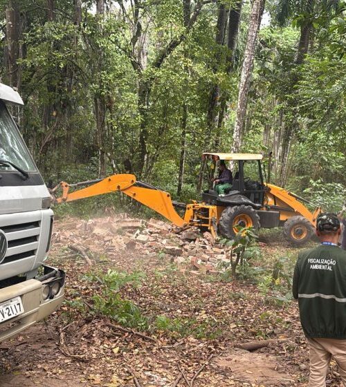 CPRH realiza nova operação e derruba construções irregulares na Mata do Frio, em Paulista