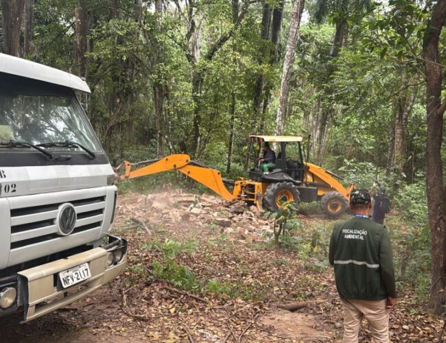 CPRH realiza nova operação e derruba construções irregulares na Mata do Frio, em Paulista