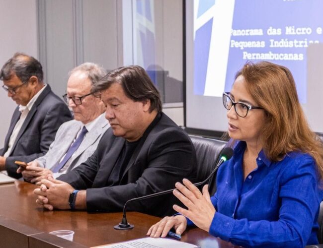 Alepe realiza segunda reunião da Frente Parlamentar da Micro e Pequena Empresa com foco no setor industrial