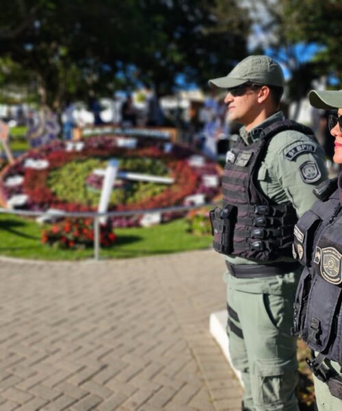 Agreste segue em ritmo de queda nos principais indicadores criminais de outubro