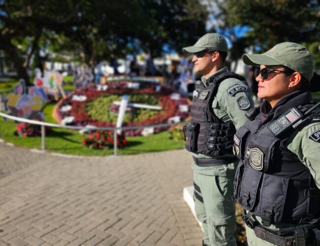 Agreste segue em ritmo de queda nos principais indicadores criminais de outubro