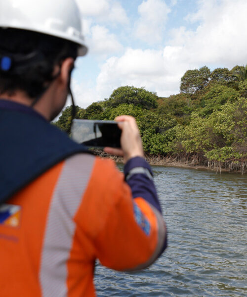CPRH descarta relação entre dragagem em Suape e supostas mortes de animais marinhos