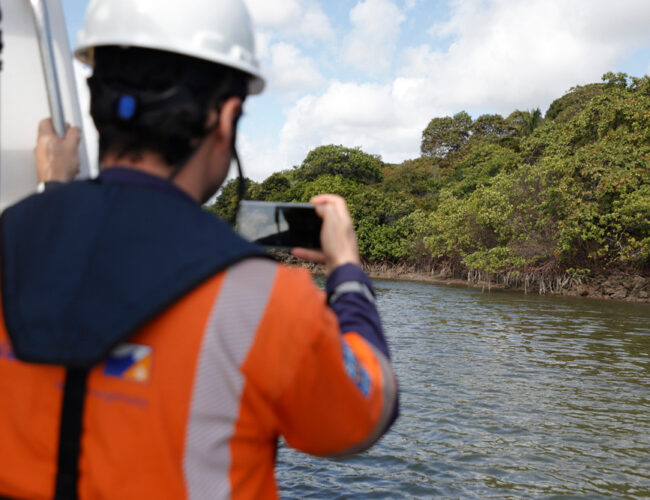 CPRH descarta relação entre dragagem em Suape e supostas mortes de animais marinhos