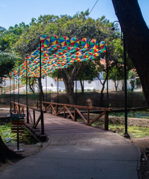 Feira Gastronômica Olinda Dá Gosto se consolida como o “oásis” do Carnaval em Olinda